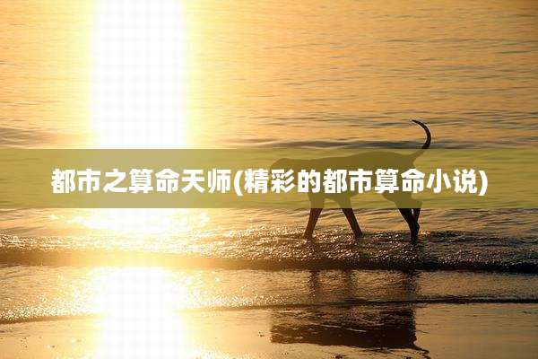 都市之算命天师(精彩的都市算命小说)