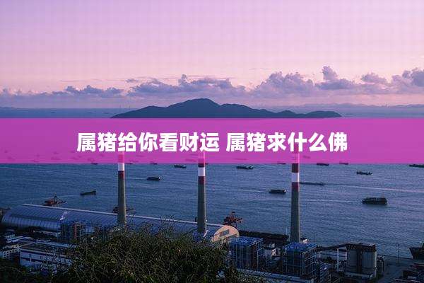 属猪给你看财运 属猪求什么佛
