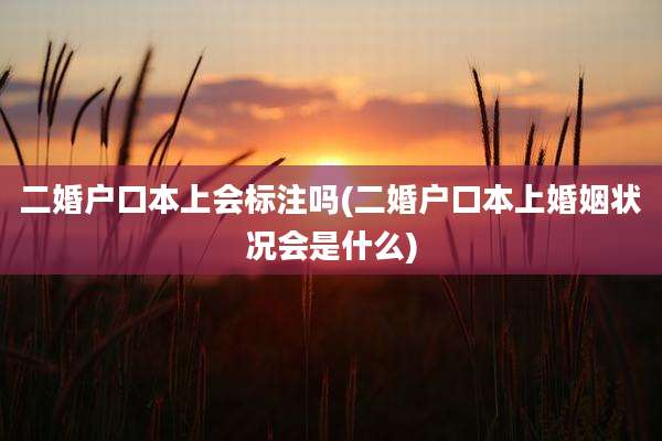 二婚户口本上会标注吗(二婚户口本上婚姻状况会是什么)