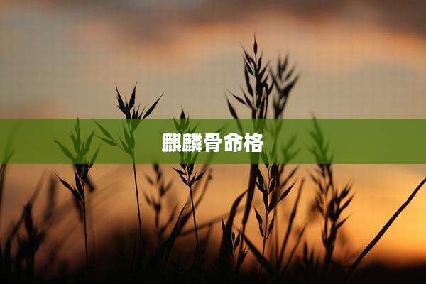 麒麟骨命格