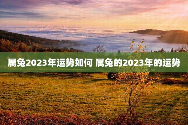 属兔2023年运势如何 属兔的2023年的运势