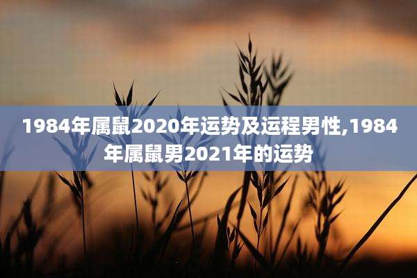 1984年属鼠2020年运势及运程男性,1984年属鼠男2021年的运势