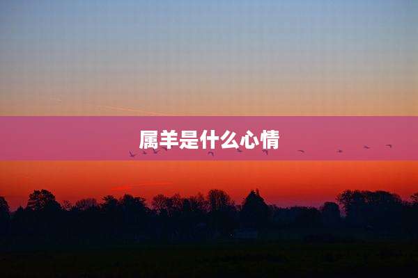 属羊是什么心情