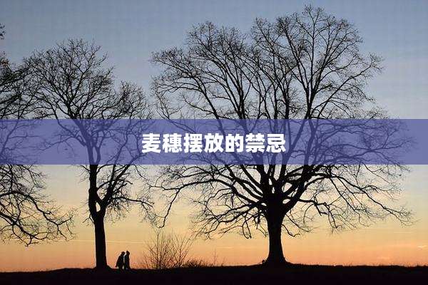 麦穗摆放的禁忌