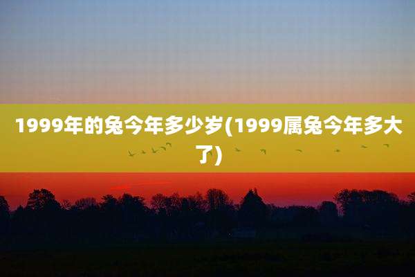 1999年的兔今年多少岁(1999属兔今年多大了)