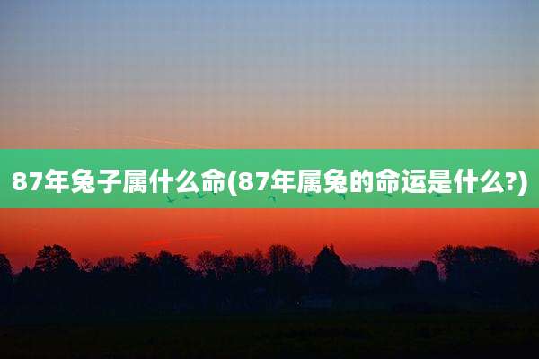 87年兔子属什么命(87年属兔的命运是什么?)