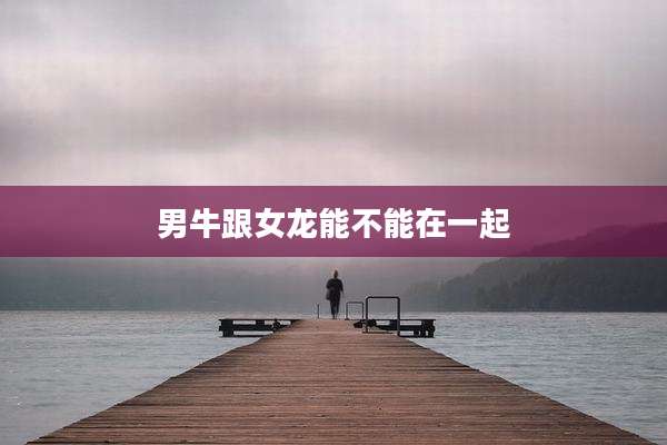 男牛跟女龙能不能在一起