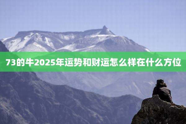 73的牛2025年运势和财运怎么样在什么方位