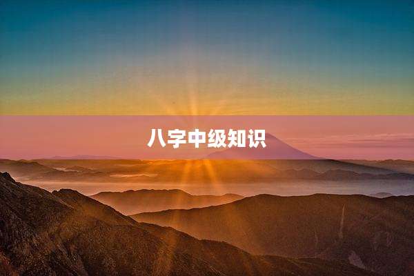 八字中级知识