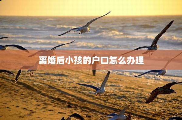 离婚后小孩的户口怎么办理