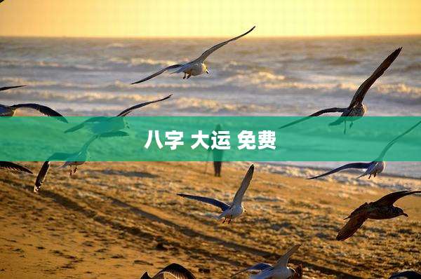 八字 大运 免费