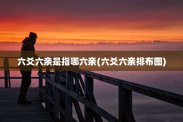 六爻六亲是指哪六亲(六爻六亲排布图)