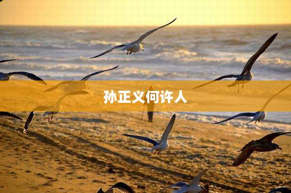 孙正义何许人