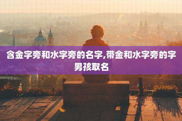 含金字旁和水字旁的名字,带金和水字旁的字男孩取名