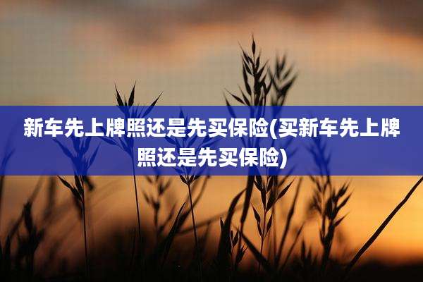 新车先上牌照还是先买保险(买新车先上牌照还是先买保险)