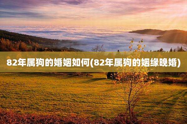 82年属狗的婚姻如何(82年属狗的姻缘晚婚)
