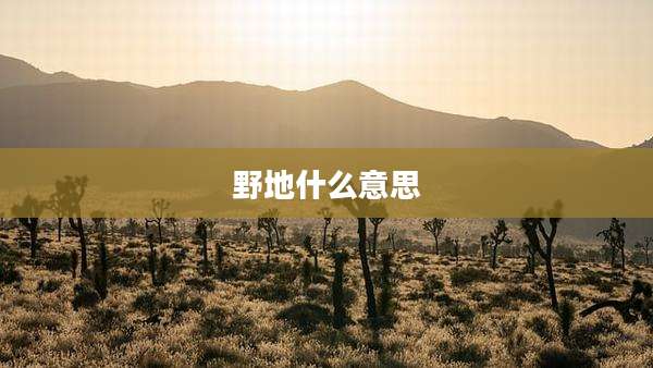 野地什么意思
