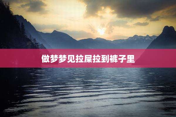 做梦梦见拉屎拉到裤子里