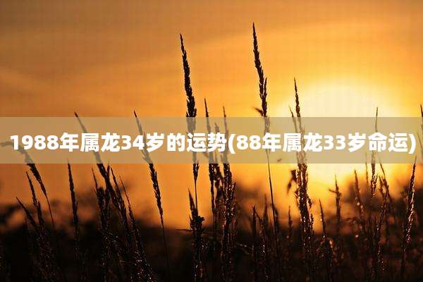 1988年属龙34岁的运势(88年属龙33岁命运)