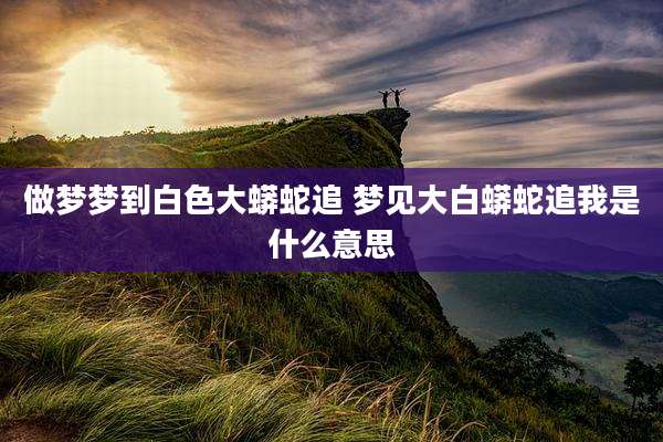 做梦梦到白色大蟒蛇追 梦见大白蟒蛇追我是什么意思