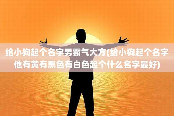 给小狗起个名字男霸气大方(给小狗起个名字他有黄有黑色有白色起个什么名字最好)