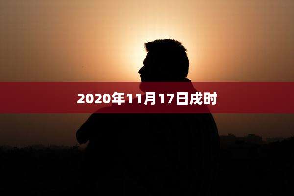 2020年11月17日戌时