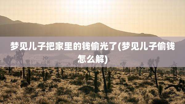 梦见儿子把家里的钱偷光了(梦见儿子偷钱怎么解)