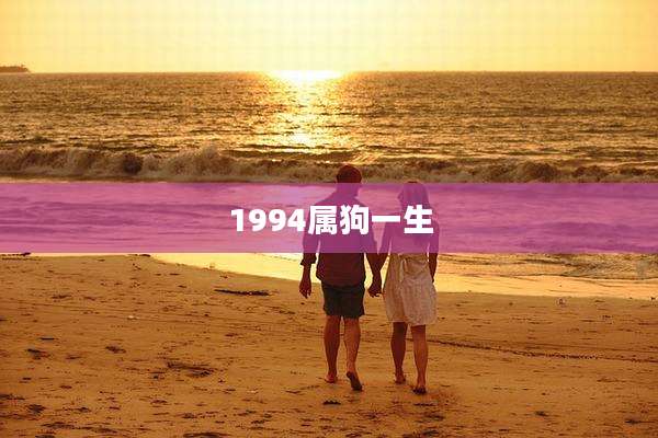 1994属狗一生