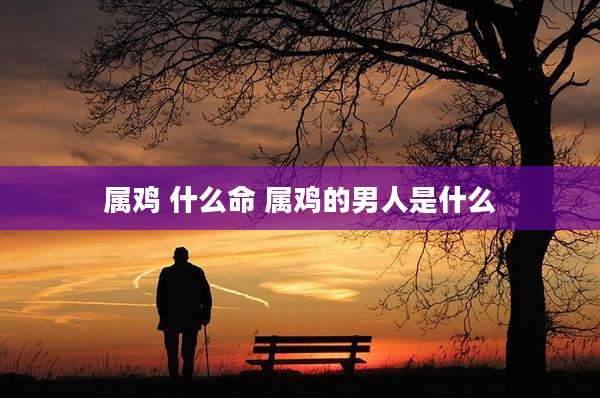 属鸡 什么命 属鸡的男人是什么