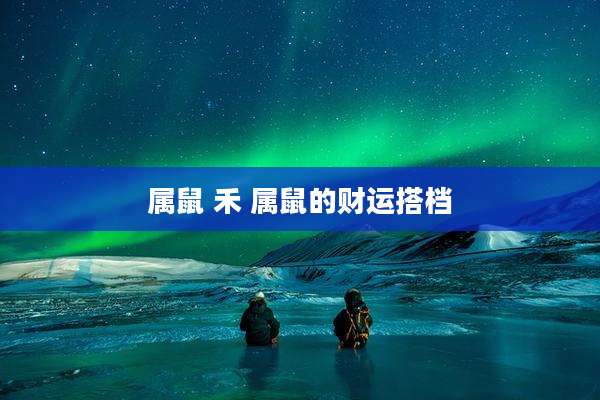 属鼠 禾 属鼠的财运搭档