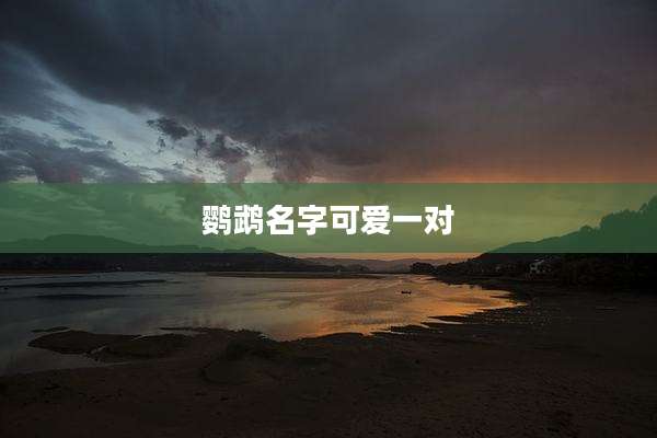 鹦鹉名字可爱一对