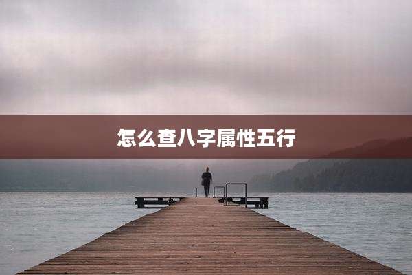 怎么查八字属性五行