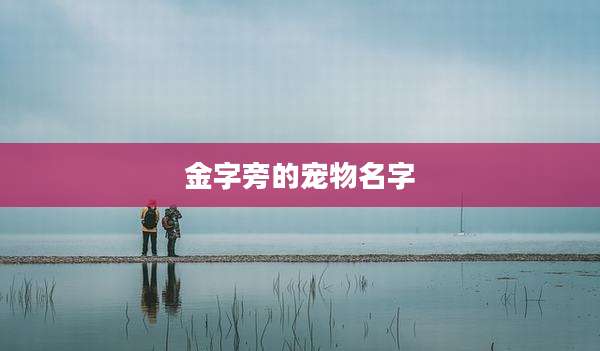 金字旁的宠物名字