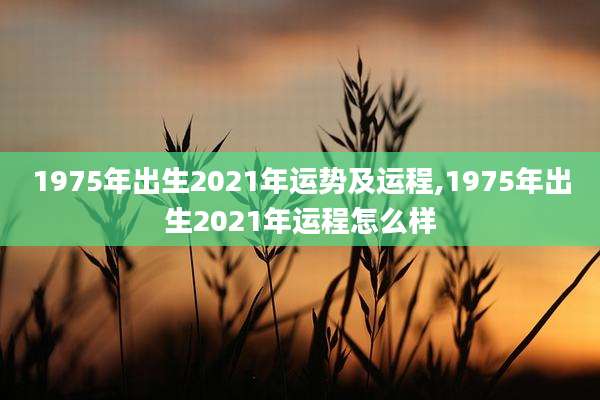 1975年出生2021年运势及运程,1975年出生2021年运程怎么样