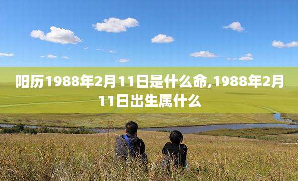 阳历1988年2月11日是什么命,1988年2月11日出生属什么
