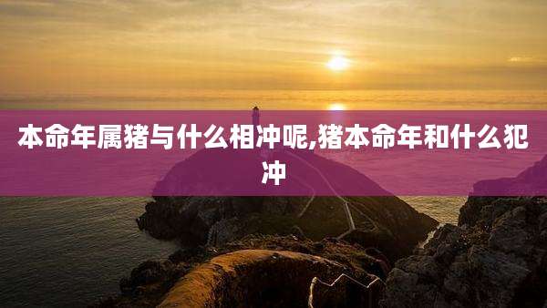 本命年属猪与什么相冲呢,猪本命年和什么犯冲