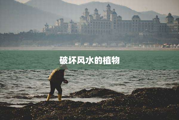 破坏风水的植物