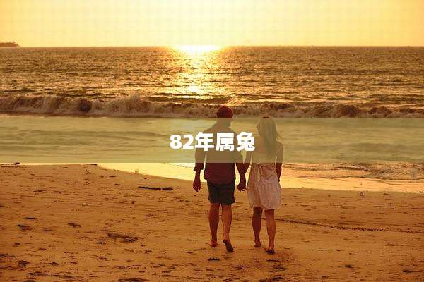 82年属兔