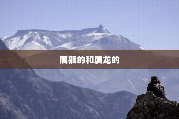 属猴的和属龙的