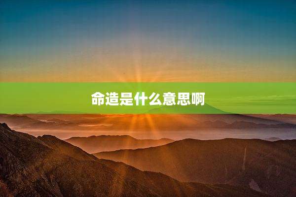 命造是什么意思啊