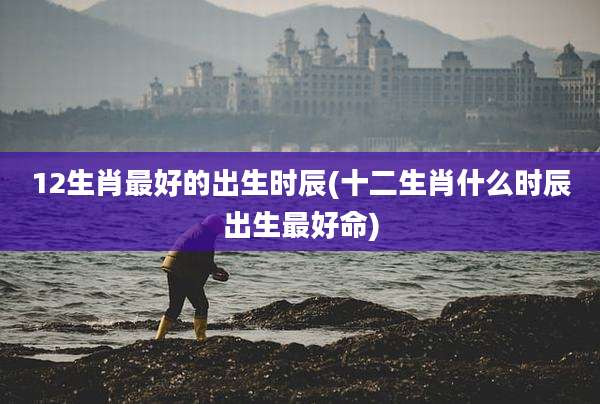12生肖最好的出生时辰(十二生肖什么时辰出生最好命)