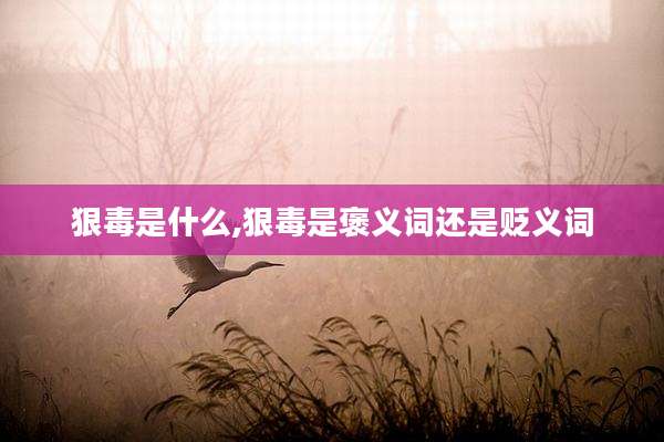 狠毒是什么,狠毒是褒义词还是贬义词