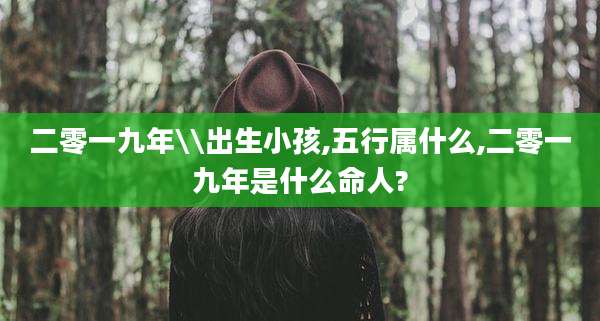 二零一九年\\出生小孩,五行属什么,二零一九年是什么命人?