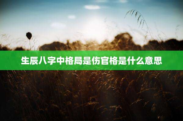 生辰八字中格局是伤官格是什么意思