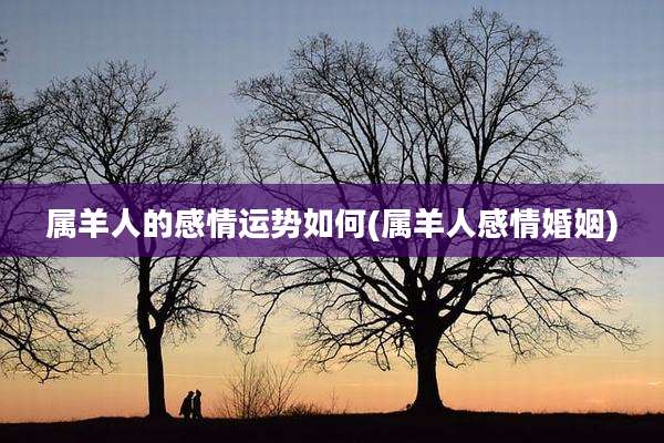 属羊人的感情运势如何(属羊人感情婚姻)