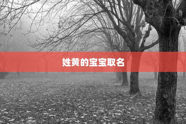 姓黄的宝宝取名