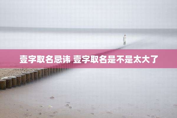 壹字取名忌讳 壹字取名是不是太大了
