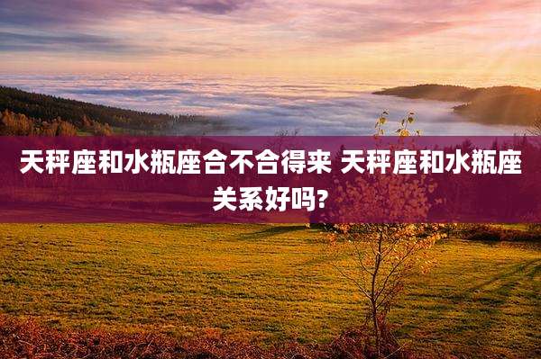 天秤座和水瓶座合不合得来 天秤座和水瓶座关系好吗?