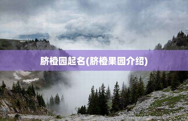 脐橙园起名(脐橙果园介绍)