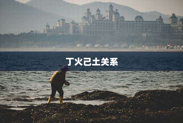 丁火己土关系